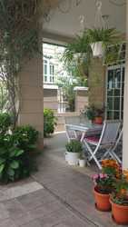 Tanah Merah Park (D17), Semi-Detached #178747572
